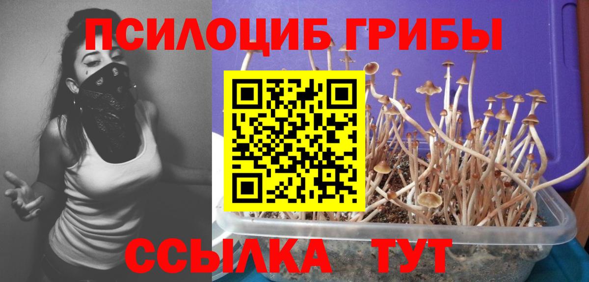 Псилоцибиновые грибы ЛСД  Псилоцибиновые грибы GOLDEN TEACHER  купить наркоту  Алушта  Вход с VPN 