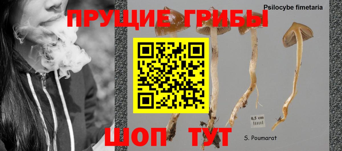 Галлюциногенные грибы MAGIC MUSHROOMS Алушта